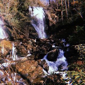 Meet your Posher, Karlee